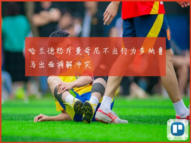 哈兰德怒斥曼奇尼不当行为多纳鲁马出面调解冲突