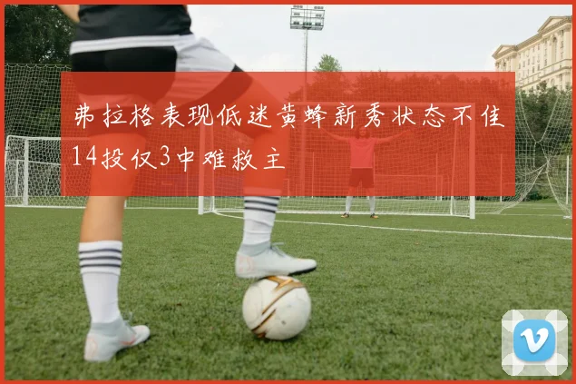 弗拉格表现低迷黄蜂新秀状态不佳14投仅3中难救主