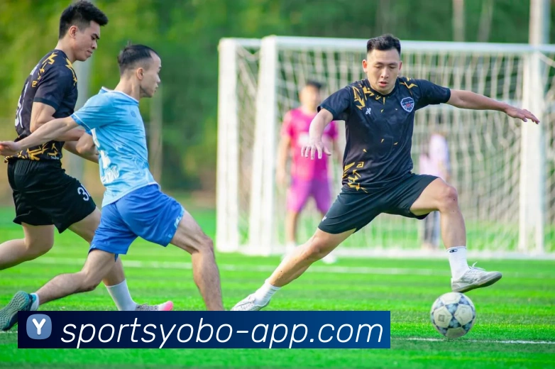 yobo体育发展历程